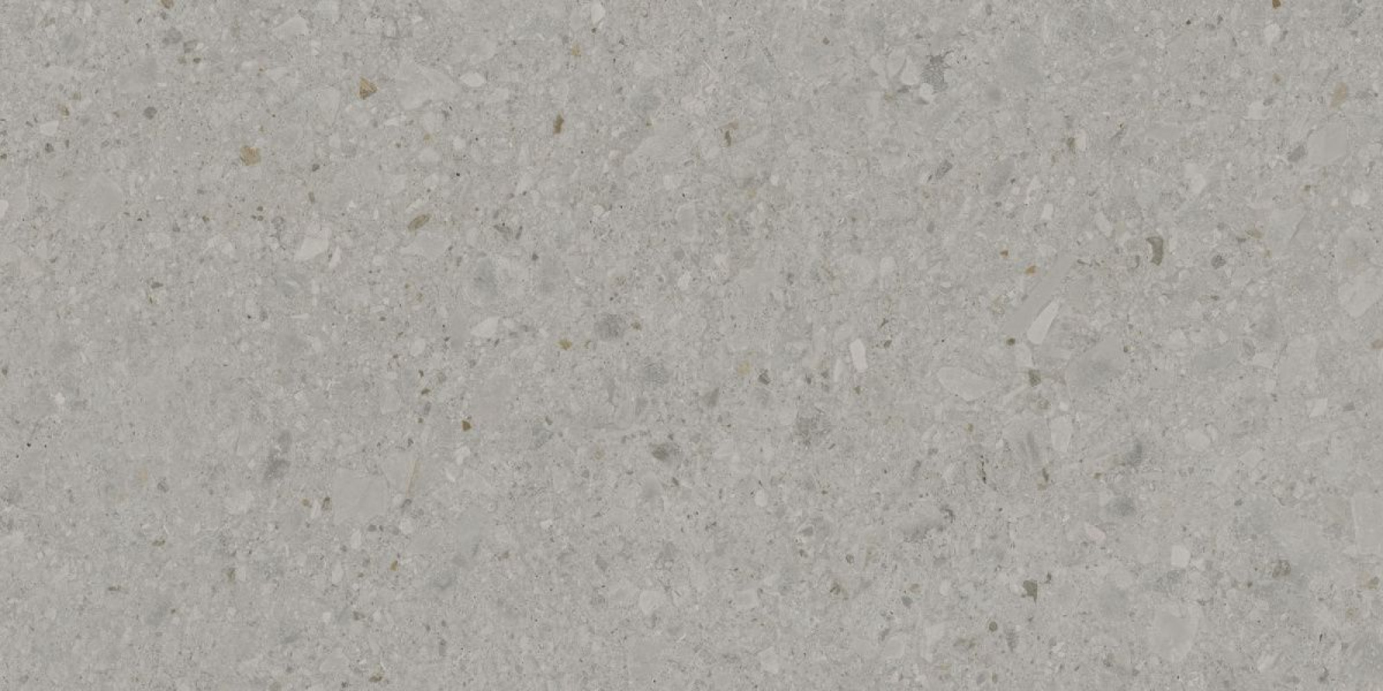 Керамический гранит 60*119,5*0,9 Чеппо ди Гре серый светлый мат. рект.  DD507620R - фото