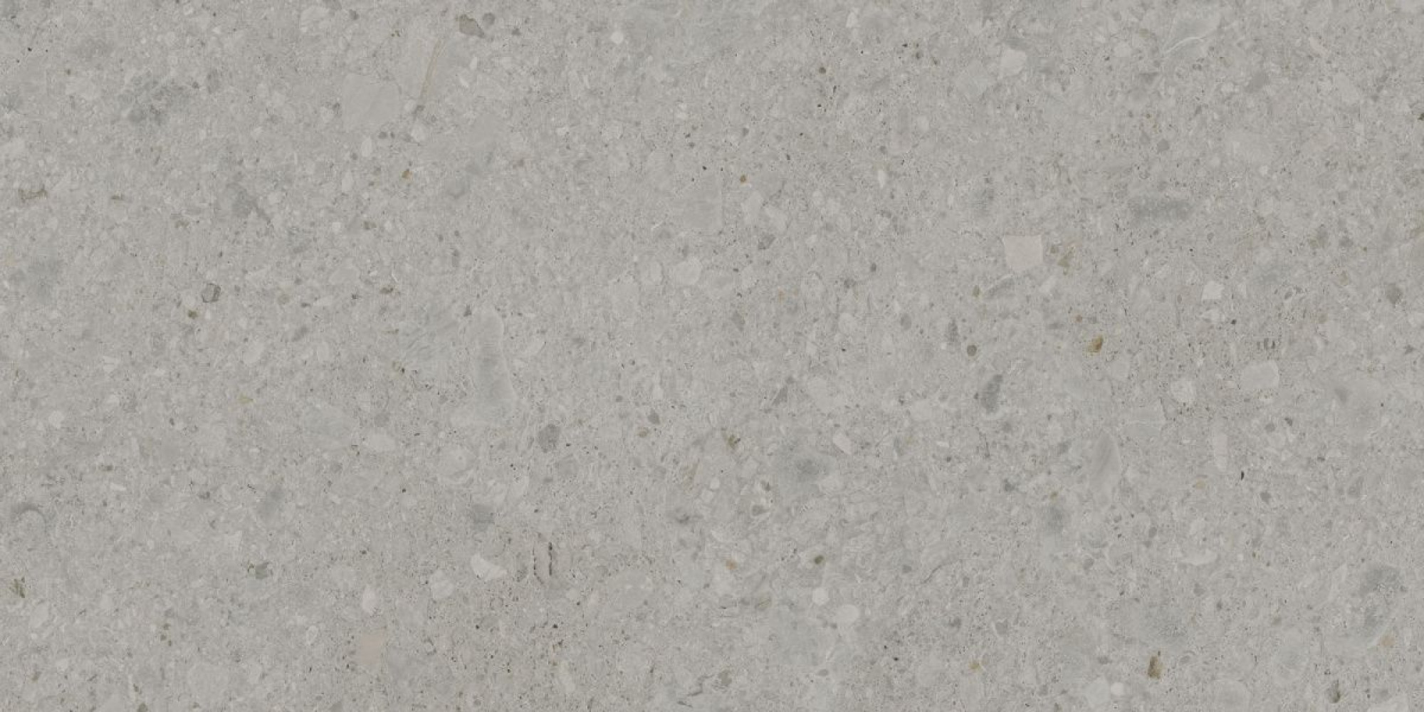 Керамический гранит 60*119,5*0,9 Чеппо ди Гре серый светлый мат. рект.  DD507620R - фото2