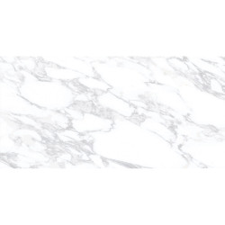 Керамогранит глазур. глянц. ARABESCATO 60*120- фото4