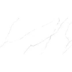 Керамогранит глаз, полир. рект. Atlantic Marble 600*600,  6060AMR00P- фото